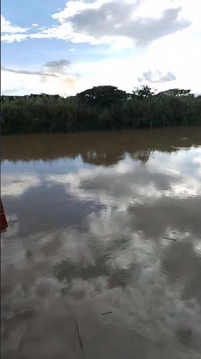 Una vista espectacular en la virginia donde el calor abrazaba el día que mejora la experiencia #ff