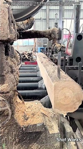 제재소 자동화 설비 원목 절단 및 각재 제형 절차 #worker #process #woodprocessing #machinery #timber