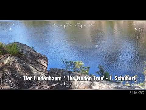 German art song, Der Lindenbaum / The Linden Tree (F. Schubert) - Simon Byun