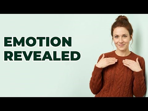 How Do Character Expressions Communicate Emotion?