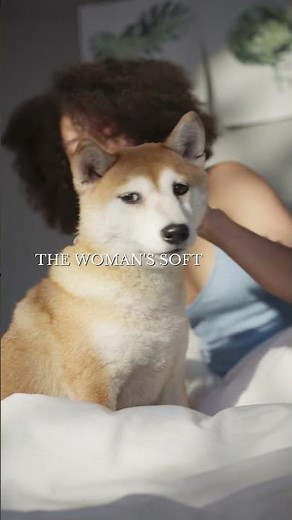 The Ultimate Embrace: Love Between a Woman and Her Dog