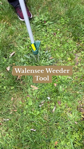 @walensee #Walensee #WeederTool Stand Up #Weeder #Puller Tool, Long Handle Garden #WeedingTool with 3 Claws, Hand Weed Hound Weed Puller for #Dandelion #StandupWeed Root Pulling Tool and Picker, #Grabber
