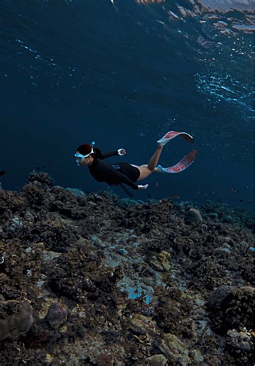 Mitchi, the smiling freediver, came to us as a non-swimmer, hesitant and afraid of the ocean. 🌊💙 But with courage, she took our quick freediving session and dove into the experience. Though it wasn’t perfect on the first try, she managed to duck dive and glide underwater like a pro in the making. Just like a kid learning something new for the first time, Mitchi’s smile lit up the underwater world. 😄✨ Take the plunge and experience the joy yourself—join our beginner-friendly freediving session