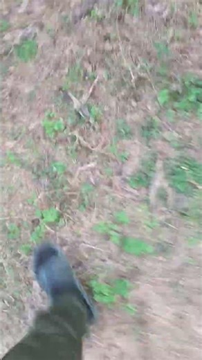 pugs are so fun! #lovepugs #funny #dothingsyoudontwanttodo #funnypictures