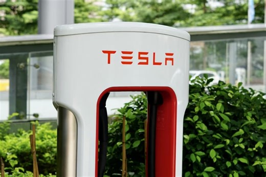 Tesla Supercharger Zoo Has Cow Hollow Neighbors Losing Sleep