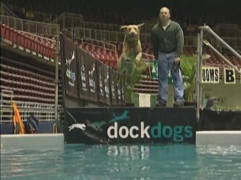 DockDogs Competitions