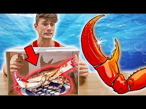 WHAT'S IN THE BOX CHALLENGE ESTREMO!!