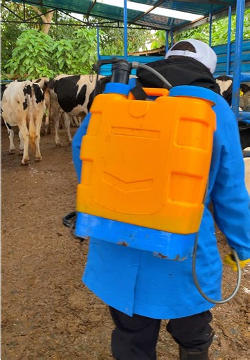 Affordable Bamoyeast BFB Packs for Smart Farming