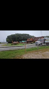 2.8K views · 132 reactions | It's a beautiful morning for a home delivery!! | Coventry Log Homes | Facebook