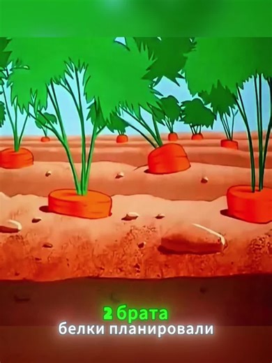 Exploring the World of Anime vs. Cartoons