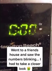 5.8K views · 25 reactions | Tag a messy friend for a chance to win a NEW SHRED-ER Starter Kit! (USA ONLY) (Winner will be selected 8/14/23) #TagAFriend #ChanceToWin #SHREDER #Contest #Gross #bugasalt #fireyourflyswatter #notarealgun | Bug-A-Salt | Facebook