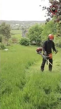 Tough Garden Battle: Honda Strimmer vs. Knee-High Wet Grass! #shorts