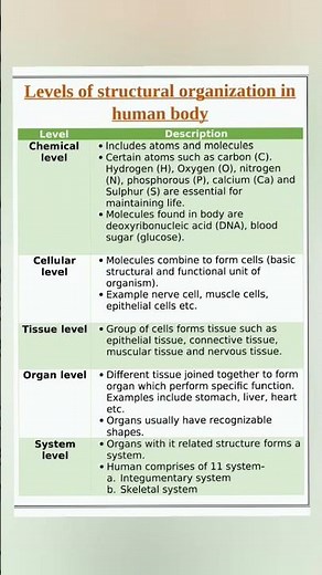#levels of structural organization#Human body