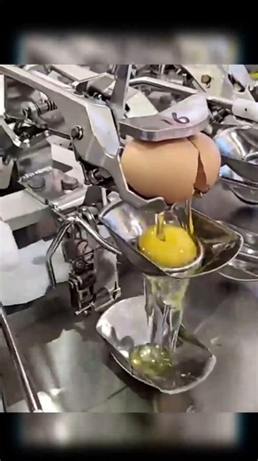 How Factories Crack and Separate Eggs