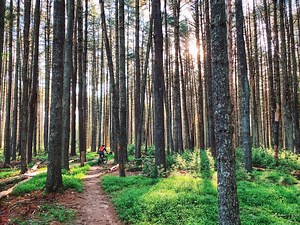 Mountain Biking at Carvins Cove