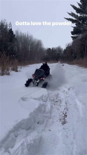 Renegade XMR 1000 Deep Snow Ride Assassinator Tires