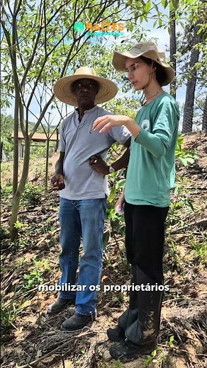 Já são mais e 433 mil mudas plantadas pelo Programa Raízes do Mogi Guaçu