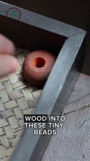 how tree sap becomes incredibly useful