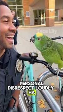 60s Funny Parrot vs Cop Battle – Ultimate Roast Compilation 😂 #funnyparrot #ParrotRoast #comedy