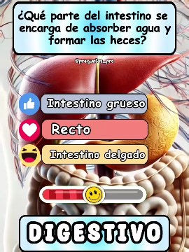 👄😋 Descubre y responde a fascinantes preguntas del Sistema Digestivo. 👅 Sumérgete en un mundo de conocimiento con #educación , desde anatomía hasta desafíos científicos. Perfecto para estudiantes y curiosos por la biología. ========================================== ✅️ #biology #conocimiento #aprendeentiktok #desafioquiz #laboratorioclinico #biologia #Anatomy #anatomia #preguntas #test #trivia #laboratorio #fisiologiahumana #sistemadigestivo #quiztest #preguntasyrespuestas #conocimiento #desa