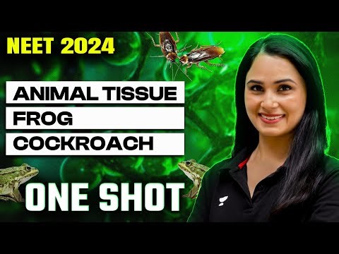 Animal Tissue + Frog + Cockroach | One Shot | NEET 2024 | Dr Gargi Singh