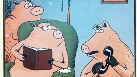 10 Funniest The Far Side Comics About Animals, Ranked