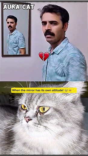 #relatable ! Aura Cat vs Magic Mirror 😂🐱 | Funniest Prank Ever!