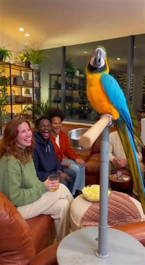 Parrots Imitating Famous Celebrities: Laugh-Out-Loud Moments