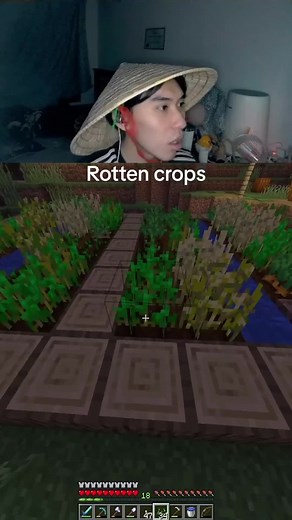 Troubleshooting Rotten Plants: Identifying and Preventing Crop Rot