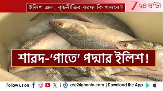 502K views · 7K reactions | Bangladeshi Ilish Fish: পুজোর মুখে কলকাতা ও হাওড়াতে ঢুকল টন টন পদ্মার ইলিশ, দাম কত? | Zee 24 Ghanta Journalist Ayan Ghoshal | Sabyasachi Chakraborty #BangladeshiHilsha #Zee24Ghanta #Latest | Zee 24 Ghanta | Facebook