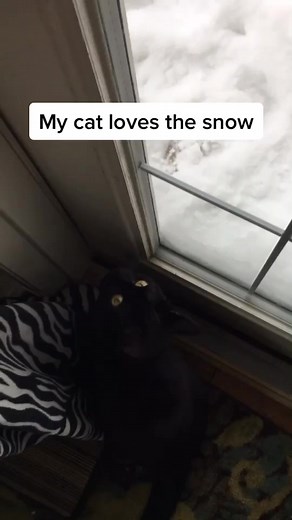 Candaian Winter 🍁 ❄️ #foryoupage #foryou #snow #winter