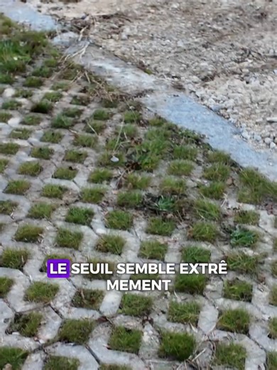 Comprendre la différence entre risque et désordre