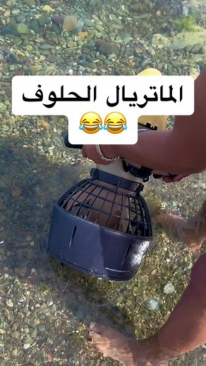 ماتريال الحلوف - فيديو كوميدي