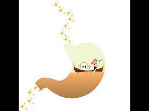 What happens inside the stomach - for Kids