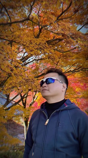 Shark RV2600WSEU: Tu Robot Aspirador Ideal