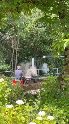 GARDEN RAILWAY! A stunning miniature steam train in the garden 🚂🏡 #miniaturerailway #steamtrain