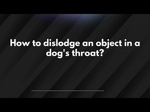 How to dislodge an object in a dog's throat?