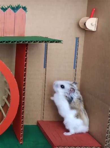 Hamster Escapes Zombie Maze Challenge