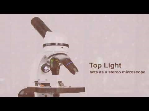 Мікроскоп шкільний навчальний My First Lab MFL-06