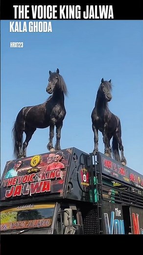 Jay Johar Jay Aadivasi 🏹👀🔥🥰😘💫 voice king band 👑🥁🥁🥁😎👀😱