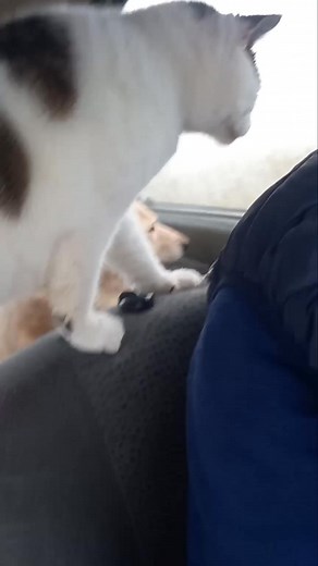 Molda Molda on Reels