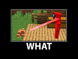 WAIT IS SUS - Compilation #2