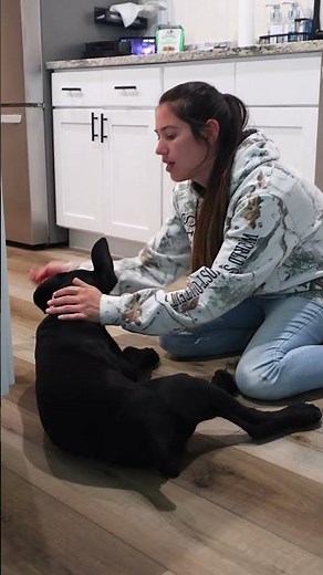 How to trim dog nails without the stress 🐾