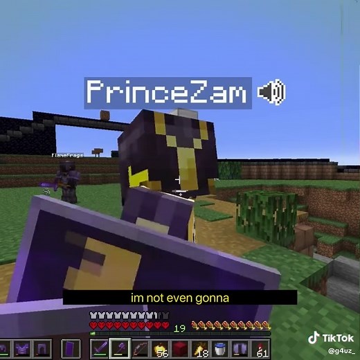 Wemmbu Orbital Destroys Prince Zam's Empire - UnstableSMP Clash