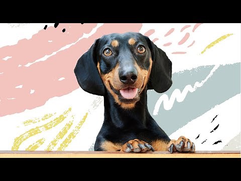 Adobe Photoshop Elements Hidden Gems