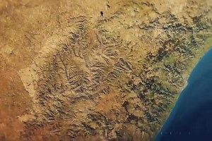 Africa's snacks part 4 #africasjungle #discovery #fishing #jungle #wildlife #snacks #survival #viralchallenge | Wild Adventure Chetak