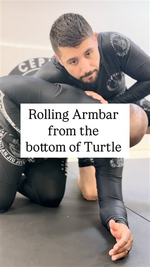 190 reactions · 3 comments |  Slick Armbar from Bottom Turtle —...