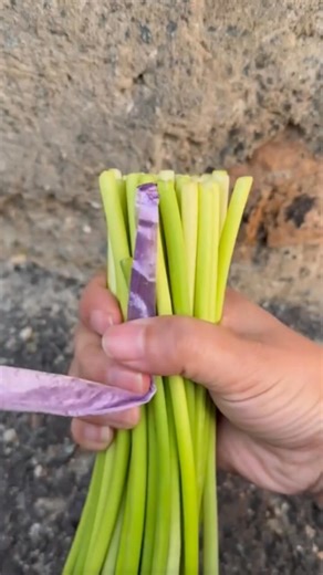 4.7K views · 15 reactions | The Fastest Way to Tie Anything Tight! #knot #intetesting #rope | VeilBits | Facebook