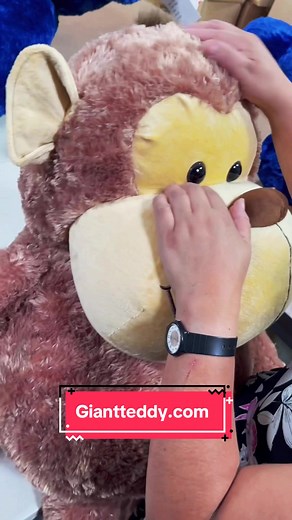 GiantTeddy on TikTok