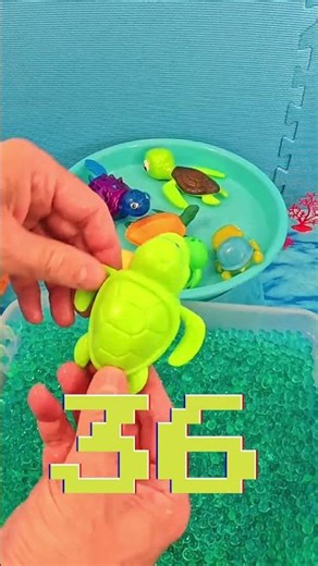 Discover & Count 30-40 Sea Turtles! Sensory Ocean Adventure for Kids 🐢